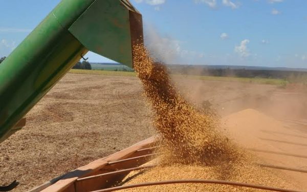 Soja genera casi USD 3.000 millones en exportaciones durante el primer semestre