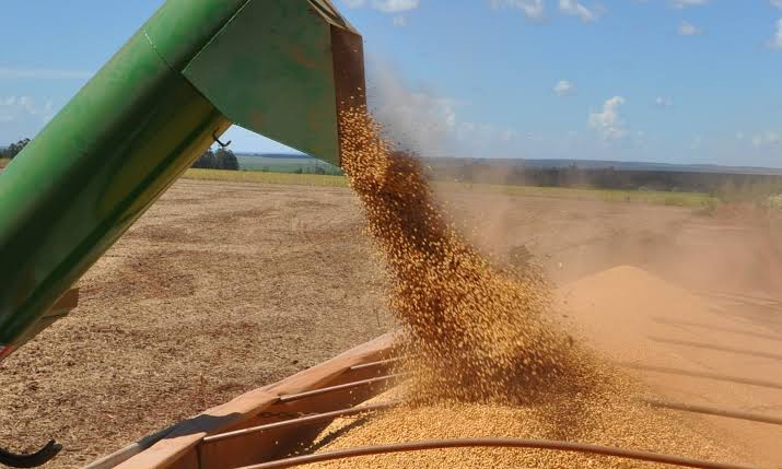 Soja genera casi USD 3.000 millones en exportaciones durante el primer semestre