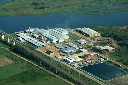 Grupo español proyecta más de USD 300 millones para el sector porcino