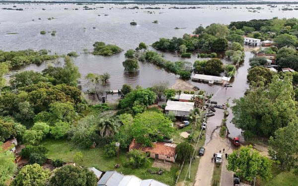 Crecida del Paraná obliga a trasladar 17.000 cabezas de ganado en Misiones